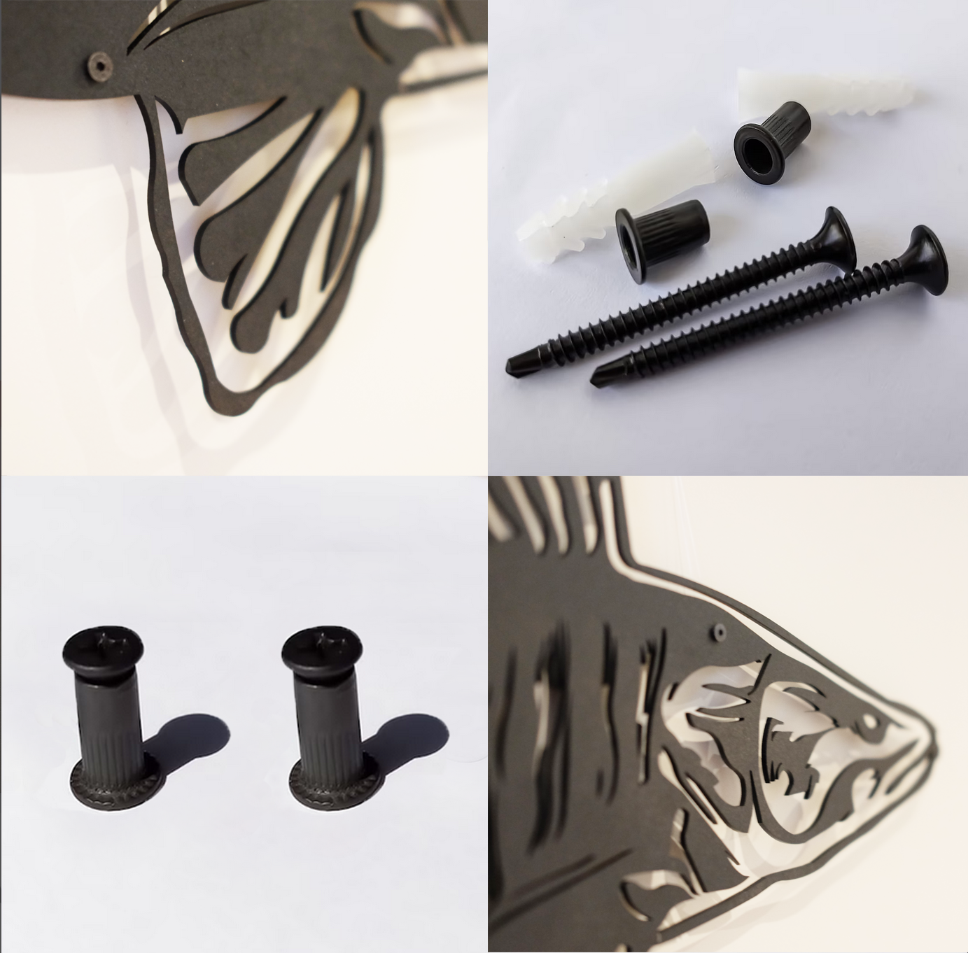 Carp with size and weight