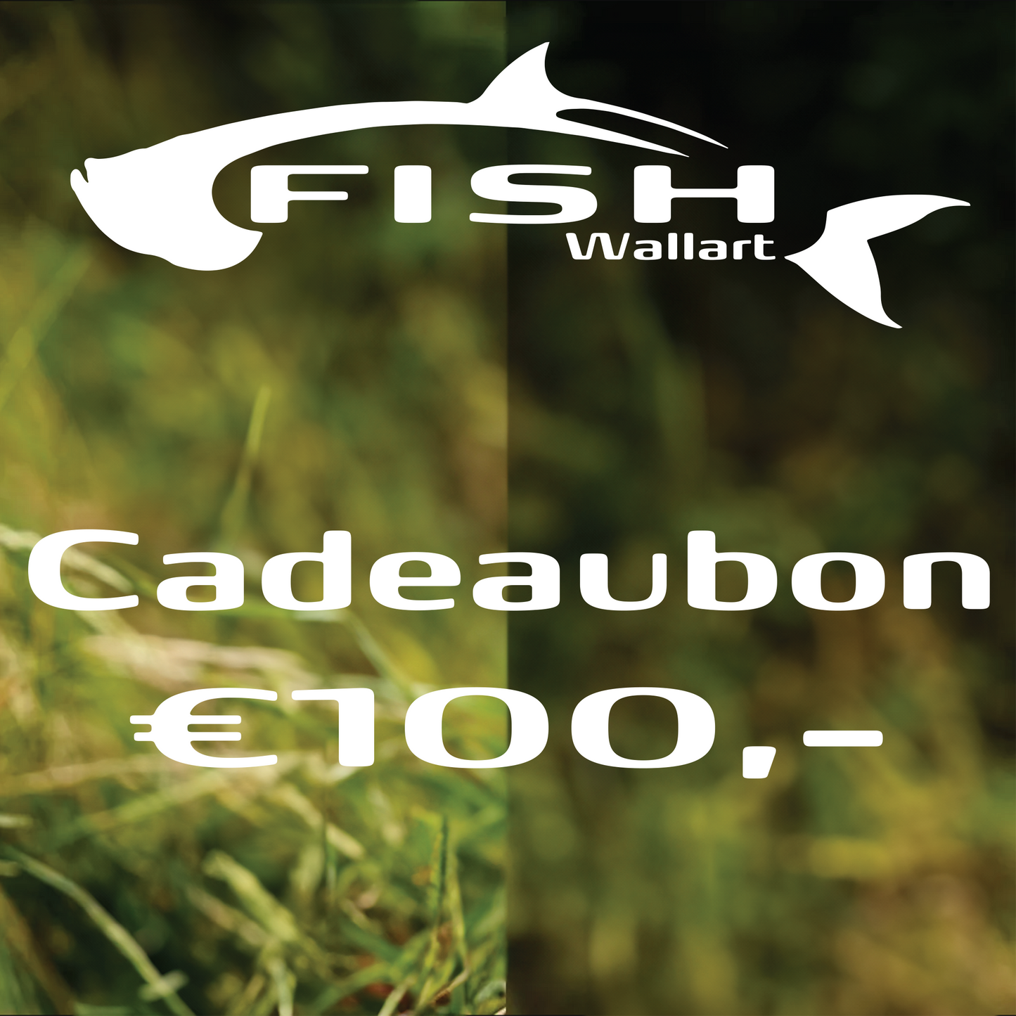 Gift voucher €100,00
