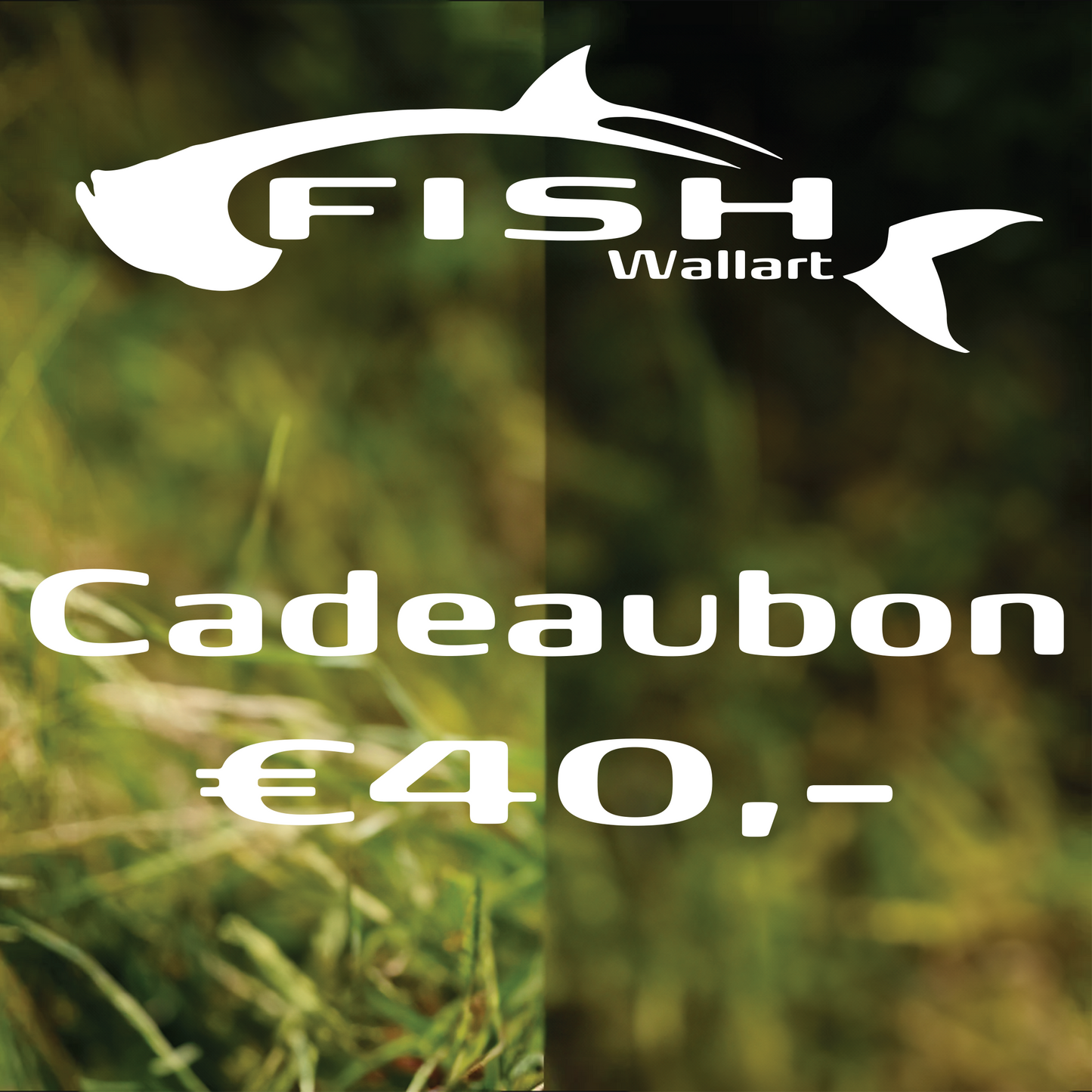 Gift voucher €40,00,-